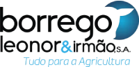 Borrego Leonor & Irmão S.A. — página inicial